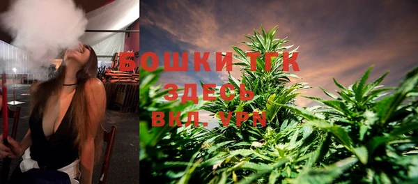 прущая мука Арсеньев