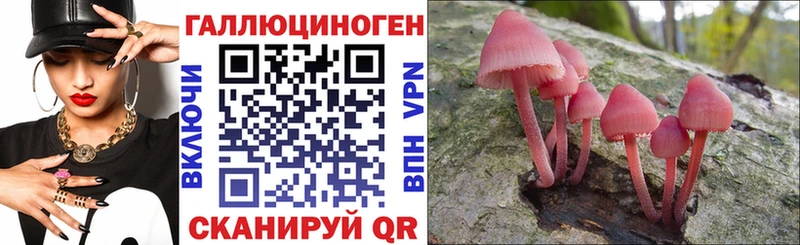 Галлюциногенные грибы GOLDEN TEACHER  Жиздра 